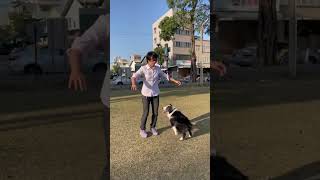 #小蘋果 狗狗版 #dog #米娜 #八度音萌犬 #人狗共舞 #跳舞狗