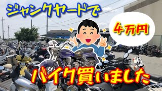 【HONDA  JAZZ】愛車紹介　ジャンクヤードでバイク買いました　ホンダ　ジャズ