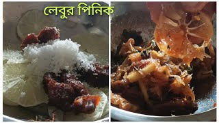 ঝাল ঝাল লেবুর পিনিক।লেবুর পিনিক।Lebu Pinik। How to make lebu pinik।Viral recipe।