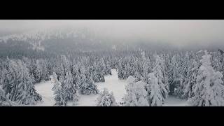 Snowscoot FREERIDE in 4K!