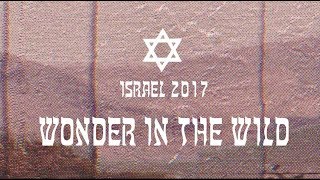 Israel: Wonder in the Wild