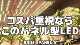 【パネルライト】ブラックフライデーで買いたいコスパ最高な植物育成LED【BRIMブリム PANEL A】