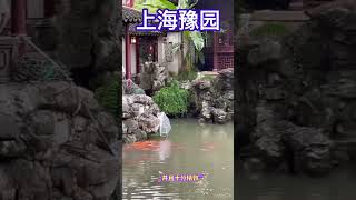 上海豫园｜江南古典园林｜Shanghai Yuyuan｜细雨声