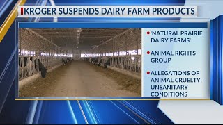 Kroger suspends dairy farm products after allegations of animal abuse