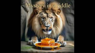 Mystery in a riddle..
