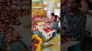 Kashmiri seb apple 🍎🍏🍎#viral #shortsfeed #youtubeshorts ##shorts #@Srishtikumari01