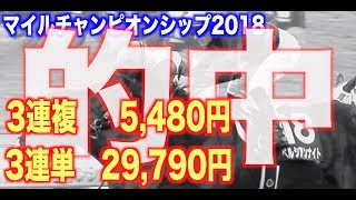 【マイルCS2018】適性馬は4頭！京都マイルで好走するポイントは単純明快です