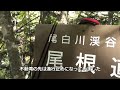 山梨県北杜市尾白川渓谷ハイキングhokutoshi yamanashi shirakawa valley hiking