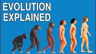 EVOLUTION EXPLAINED IN 3 MINUTES