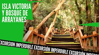 🔴 ¿Cómo es ISLA VICTORIA y BOSQUE DE ARRAYANES? - Excursión imperdible en Bariloche 2022