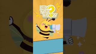 Buzzworthy Facts! 🐝 Did You Know? | ChuckleCheck Shorts