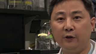 Structural Biology Approaches to HIV Vaccine Research - Tongqing Zhou, NIH Scientist