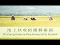 池上秋收稻穗藝術節 chishang autumn rice harvest arts festival