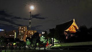 浅草神社　浅草寺 本堂　ライトアップ　　　中秋の名月　満月　　東京スカイツリー　月の輪