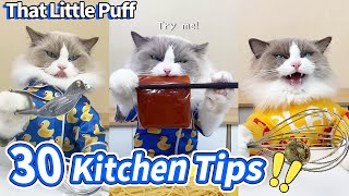 Meow Chef: 30 Kitchen Tips You Need To Know!😜 | That Little Puff