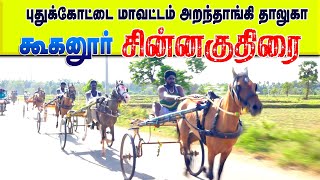 01புதுக்கோட்டை மாவட்டம் அறந்தாங்கி தாலுகா கூகனூர் 10000 ஆயிரம் சின்ன குதிரை பந்தயம்  27-02-2025