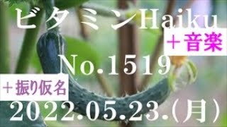 今日の俳句＋音楽。ビタミンHaiku。No.1519。2022.05.23.(月曜日)