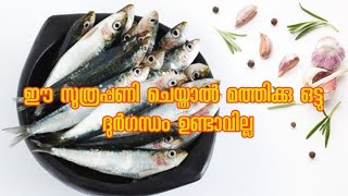 How to clean sardine//ഈ സൂത്രപ്പണി ചെയ്താൽ മത്തിക്കു ഒട്ടും ദുർഗന്ധം ഉണ്ടാവില്ല@natureobscura