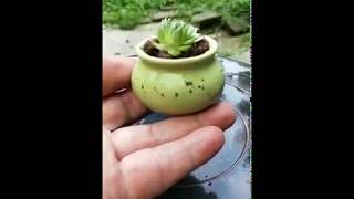 HOW TO make mini pottery!