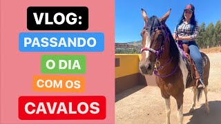 VLOG: PASSANDO O DIA COM OS CAVALOS