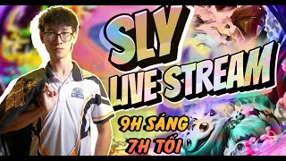 Buổi tối vui vẻ cùng món quà Sly !bee #sly #tft #dtcl