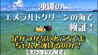 沖縄のエメラルドグリーンの海で検証！足がつかないところでもちゃんと泳げるのか？【ボストンテリア】こむぎ