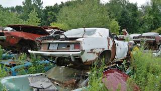 Incredible Collection of Mopars sitting in Junkyard!