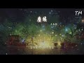 王雨桐 塵埃『我的愛像塵埃 散落在邊疆地帶』【動態歌詞lyrics】