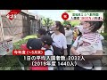 【貴重映像】とべ動物園入園者１９００万人に到達　ゾウが国道で＜news ch.4＞