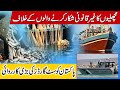 Why did the Pakistan Coast Guard take a big action against the fish hunters | Sair Aab News Network