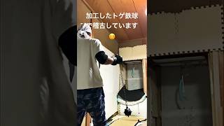 鎖鎌を稽古している動画(28)#shorts