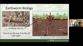 Invasive Jumping Worms in Maine