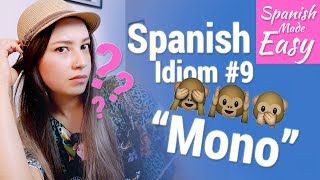 Spanish Idiom #9: Mono | Spanish Lessons