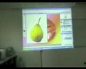 video atelier photoshop 1