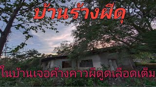 บ้านร้างผีดุข้างในเจอค้างคาวผีดูดเลือดเต็มไปหมด