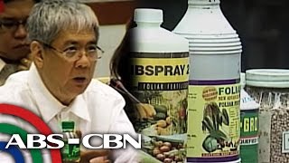 TV Patrol: Jocjoc Bolante, inabswelto ng Sandiganbayan sa fertilizer fund scam