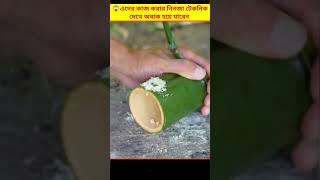 😱 এদের কাজ করার নিনজা টেকনিক দেখে অবাক হয়ে যাবেন | Skilled And Ninja Workers Bangla