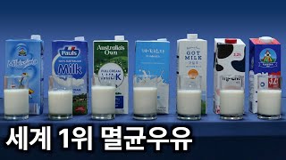 멸균우유 7종 비교