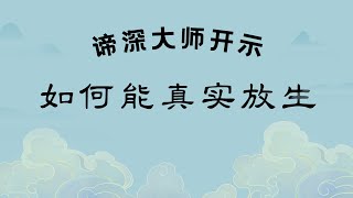 谛深大师开示|如何能真实放生|諦深大師