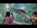 full video marine world panchavadi edakkazhiyur chavakkad largest public aquarium eshans gallery