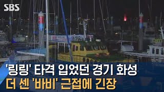 '링링' 타격 입었던 경기 화성, 더 센 '바비' 근접에 긴장 / SBS