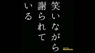 【自由律俳句】笑いながら謝られている　#自由律俳句 #Shorts