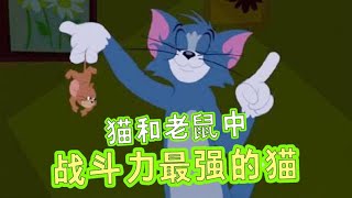 猫和老鼠中最强的猫！但变强的理由让人热泪！搞笑！【哎呀酋长本尊】