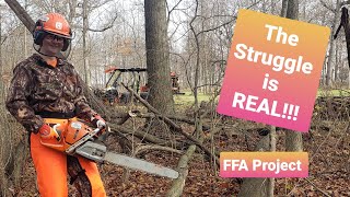 Husqvarna 572 XP. The struggle is real for the daughter. Not another firewood video.