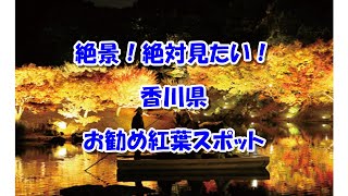 【香川県】絶景！絶対見たい！お勧め紅葉スポットまとめ