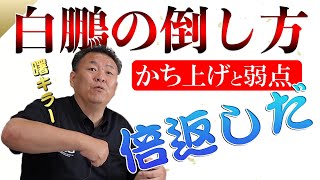 【倍返し】横綱・白鵬の倒し方 弱点暴露  大鵬・貴乃花 相撲界最強は？