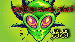 (සිනී=sini) එල්ලිලා කංසා ගහේ ගහේ (Ellila Kansa gahe) Maduwa \u0026 king Lotuss   @slmusicpodda6984