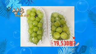 [샤인머스켓 리뷰]상주 샤인머스켓 1.5kg 가격이 19,530원?