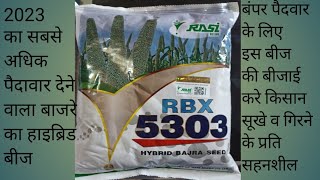 2023 का नया सबसे ज्यादा पैदावार देने वाला बाजरे का हाइब्रिड बीज Rasi RBX 5303 II #rasi #seed