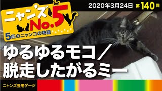 《第140回》ゆるゆるなモコに対して、間違って一瞬外に出てしまったミーが脱走したがるという禁断のアピールをエンドシーンで。